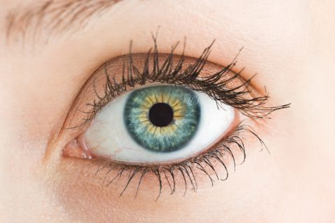 Doenças na retina: saiba quais são as 3 mais comuns