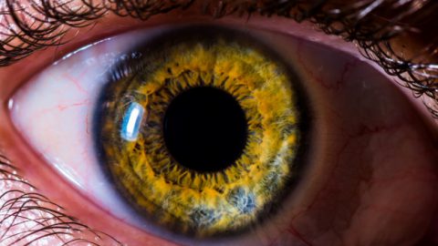 Visão monocular: conheça o Problema que afeta um dos olhos