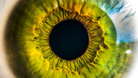 Ultrassonografia Ocular: o que é e para que serve?