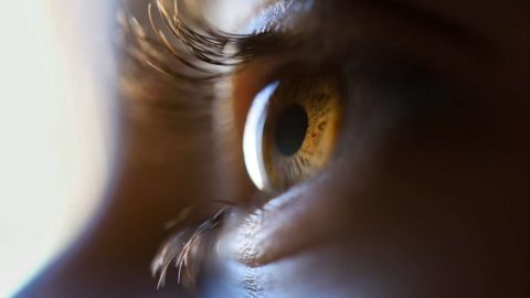 Toxoplasmose ocular: o que é ? Tem cura?